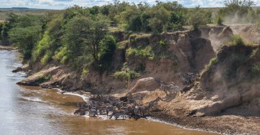 Zebralar ve antilop Masai M Serengeti göç sırasında