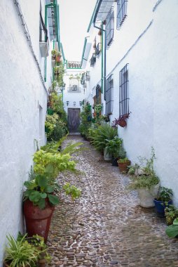 Cityscape beyaz şehirdeki Priego de Cordoba Andalucia, İspanya