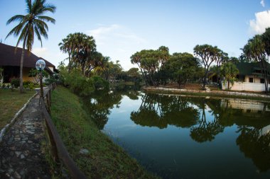 Yeşil nehir, Kenya yansımaları ile pitoresk manzara