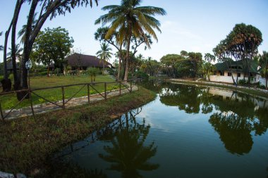 Yeşil nehir, Kenya yansımaları ile pitoresk manzara
