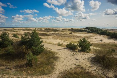 Deniz manzarası üzerinde Curonian Spit, Kaliningrad bölgesi, Rusya