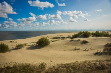 Deniz manzarası üzerinde Curonian Spit, Kaliningrad bölgesi, Rusya