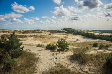 Deniz manzarası üzerinde Curonian Spit, Kaliningrad bölgesi, Rusya