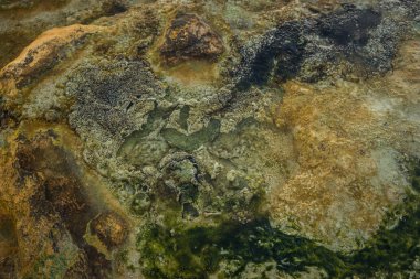 Termal sahilde Loutra Edipsou, EVIA, Yunanistan