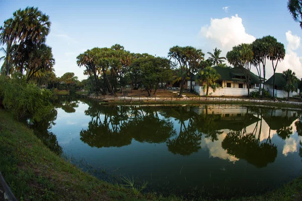 Picturesque landscape with reflections in  green river, Kenya — Stock Photo, Image