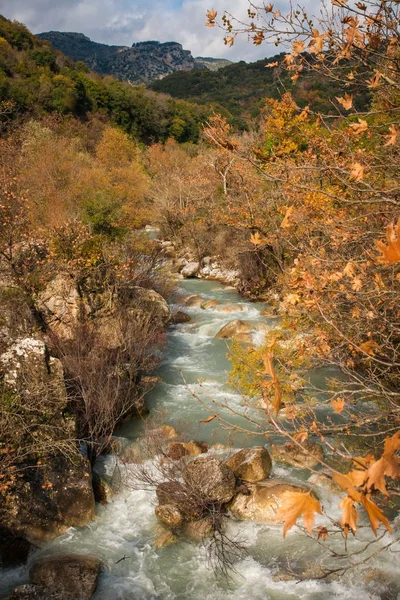 Осенний пейзаж в ущелье Луизы на Пелопоннесе в Греции — стоковое фото