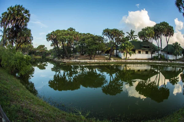 Picturesque landscape with reflections in  green river, Kenya — Stock Photo, Image