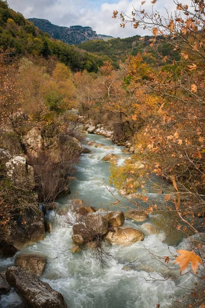 Осенний пейзаж в ущелье Луизы на Пелопоннесе в Греции — стоковое фото
