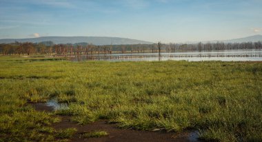 Doğal Gölü Nakuru görünümden gelin tepede