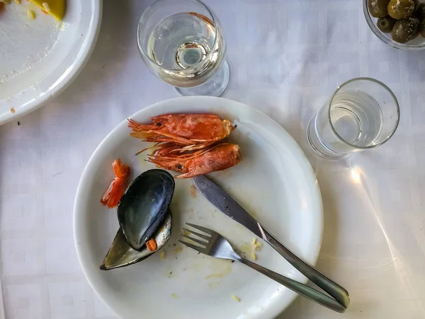 Öğle yemeğinden sonra yiyecek kalıntıları ile iki boş tabak — Stok fotoğraf