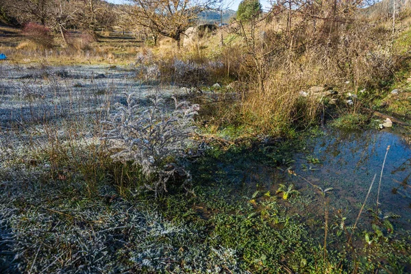 Gelo sull'erba la mattina presto — Foto Stock