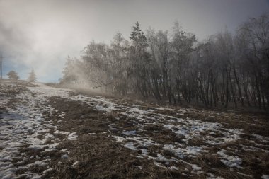 Kırım 'daki Ai Petri Dağı' na buzlu yağmurlu manzara