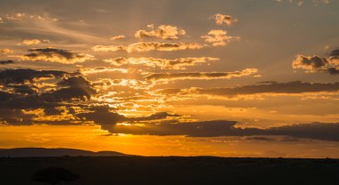 Kenya günbatımında ağacında, Afrika yatay