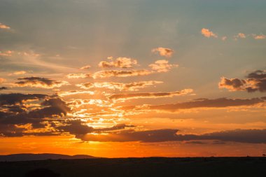 Kenya günbatımında ağacında, Afrika yatay