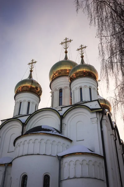 Svyato Nikolsky Pereslavl kvinnors kloster i Pereslavl Zalessk — Stockfoto