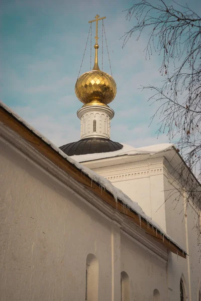 雅罗斯拉夫尔地区 Spaso Vvedensky Tolga 妇女修道院, — 图库照片