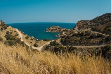 Aegina Island Saron Körfezi, Gree defne deniz manzara