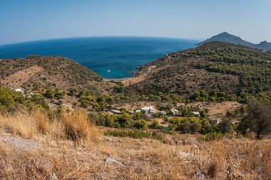 Aegina Island Saron Körfezi, Gree defne deniz manzara