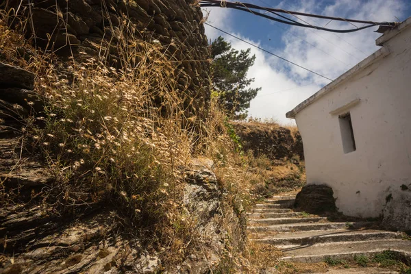 Strada con case bianche sull'isola di Andros, Grecia — Foto Stock