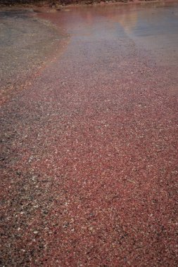 Falasarna beach, Creete, Yunanistan