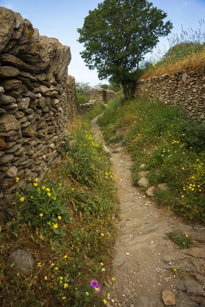 Vårblommor i Grekland på Kea ö — Stockfoto