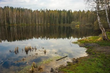 Bahar sel Rusya Kaluga bölgesi yollar boyunca