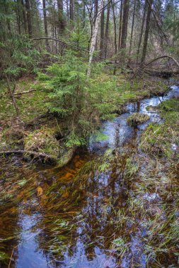Akarsu ve Şeytan'ın yerleşim tahtaya havuzlarında 