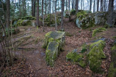 Şeytan'ın kapatma Kaluga bölgesi orman manzara