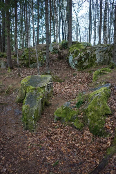 Skogslandskapet på djävulens bosättningen i Kaluga region — Stockfoto