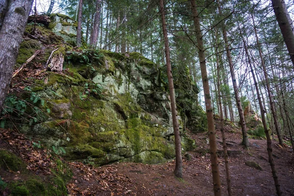 Paisagem florestal no assentamento do diabo na região de Kaluga — Fotografia de Stock