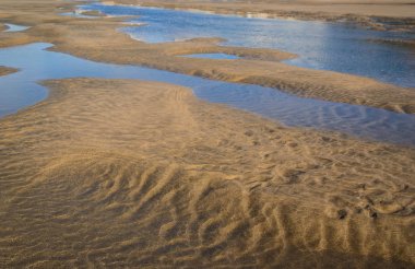 Işık ve gölge Portekiz sahilde kum üzerinde
