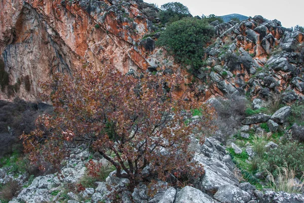 Ismarlayarak göktaşı Demiana içinde gelen çukurda Peloponne — Stok fotoğraf