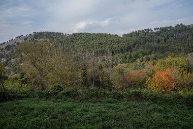 Campania 'daki Caserta Veccia' da sonbaharın başlarında...