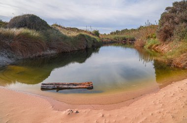 İtalya 'nın Puglia kentindeki Torre Guacheto' da terk edilmiş güzel bir sahil.