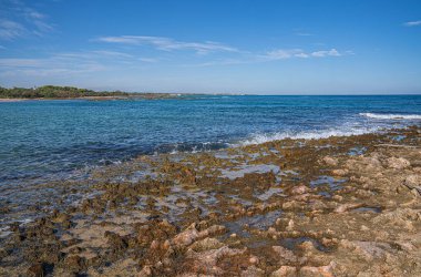 İtalya 'nın Puglia kentindeki Torre Guacheto' da terk edilmiş güzel bir sahil.