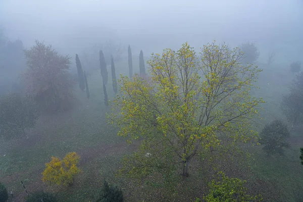 Reggel köd a kora hajnali órákban Rómában, Olaszországban — Stock Fotó
