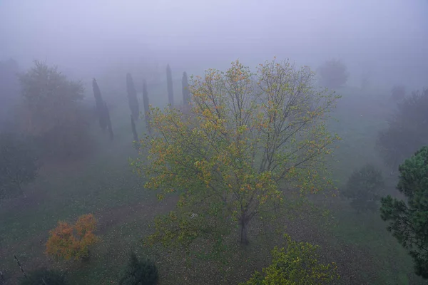 Reggel köd a kora hajnali órákban Rómában, Olaszországban — Stock Fotó