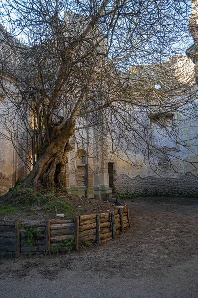 Ruïnes van de kerk in het klooster van San Bonaventure in Monterano Na — Stockfoto