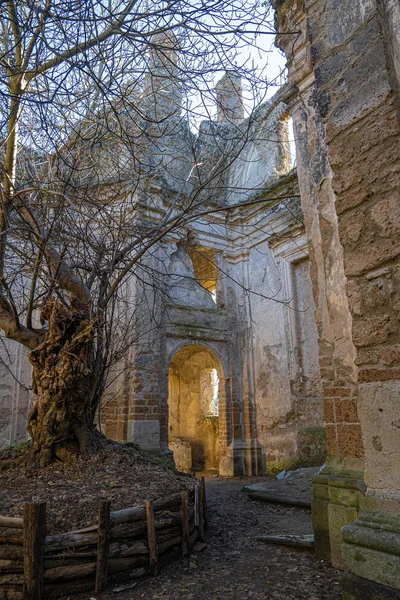 Monterano Na 'daki San Bonaventure Manastırı' ndaki kilise kalıntıları.