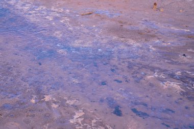 Manziana 'daki eski krater - karbondioksit topraktan çıkıyor 