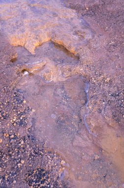 Manziana 'daki eski krater - karbondioksit topraktan çıkıyor 