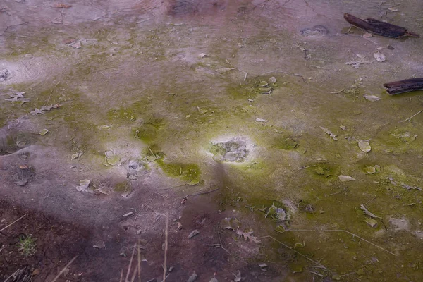 Vecchio Cratere di Manziana - anidride carbonica che esce dalla terra — Foto Stock