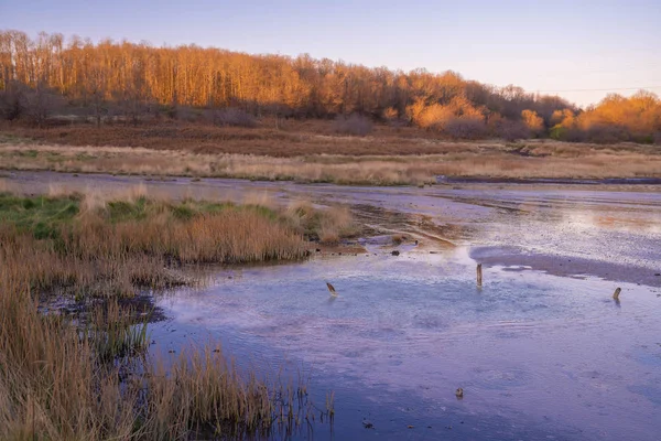 Old Crater in Manziana - carbon dioxide coming out of the earth — Stock Photo, Image