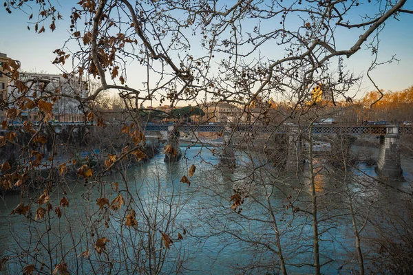 Paysage urbain à travers les branches d'automne sur la rivière Tibre à Rome, Il — Photo