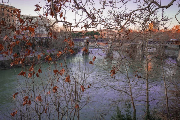 Paisaje urbano a través de ramas de otoño en el río Tíber en Roma, It — Foto de Stock