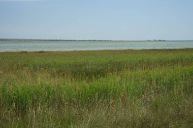 Kırım 'daki Spit Belyayus' ta resim gibi deniz manzarası