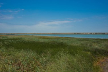 Kırım 'daki Spit Belyayus' ta resim gibi deniz manzarası