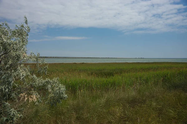 Paysage Marin Pittoresque Sur Spit Belyayus Crimée — Photo