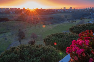 Pencere pervazında güneş ışığı ve çiçeklerle resmedilmiş gün batımı. 