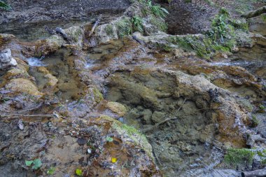 Castel 'deki Vallocchie şelalesi yakınlarındaki resimli orman manzarası